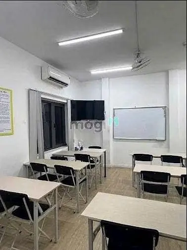 6007143 ảnh đại diện 1