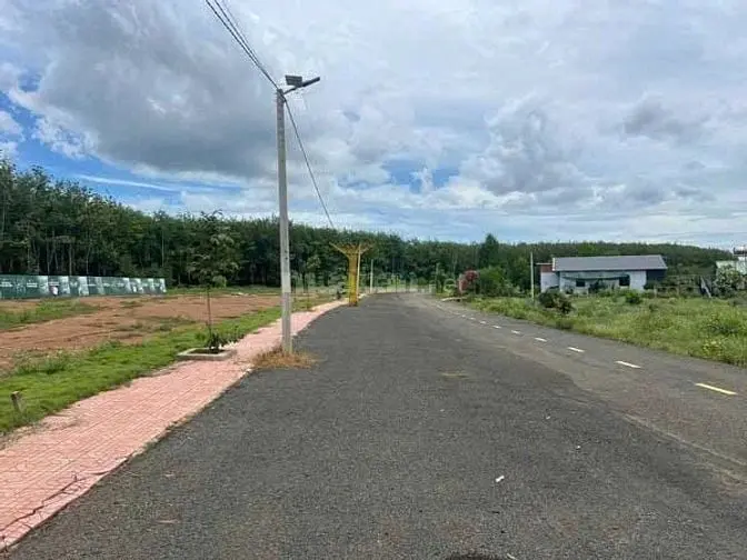 6006798 ảnh đại diện 1