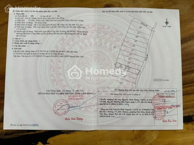 6007307 ảnh đại diện 1