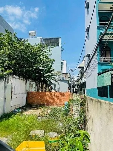 6007255 ảnh đại diện 1