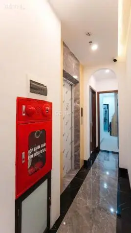 6006594 ảnh đại diện 1