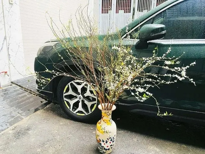 Cho Thuê Văn Phòng,Cửa Hàng, Nhà Nguyên Căn Quận Thanh Xuân