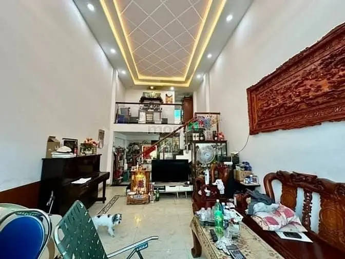 6007202 ảnh đại diện 1