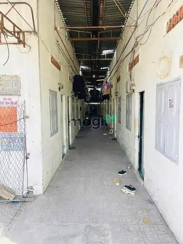 6007220 ảnh đại diện 1
