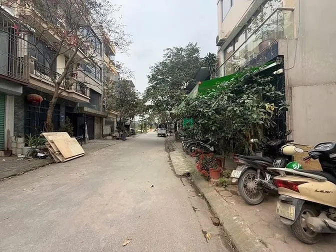 6007237 ảnh đại diện 1