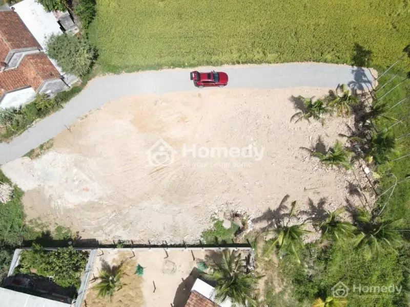 6006694 ảnh đại diện 1