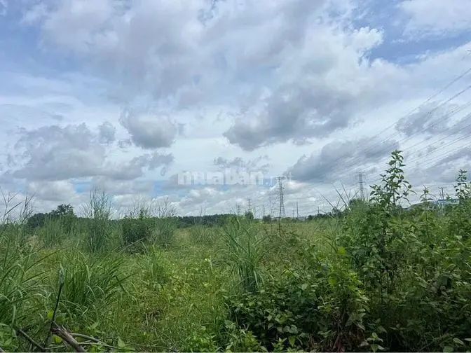 Bán Đất Xưởng Liền Kề Kcn Đất Cuốc , Bình Dương , Diện Tích : 41.000M2