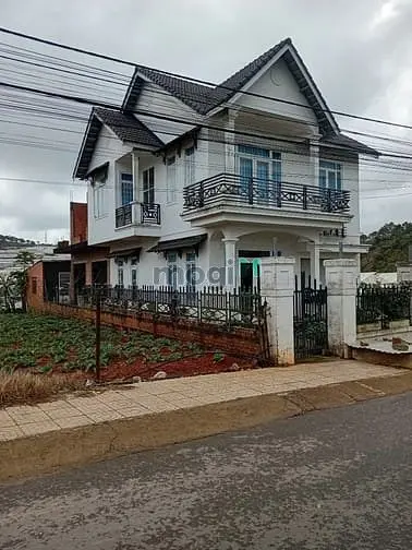 6007239 ảnh đại diện 1