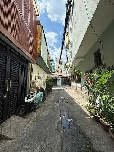 6007071 ảnh đại diện 1