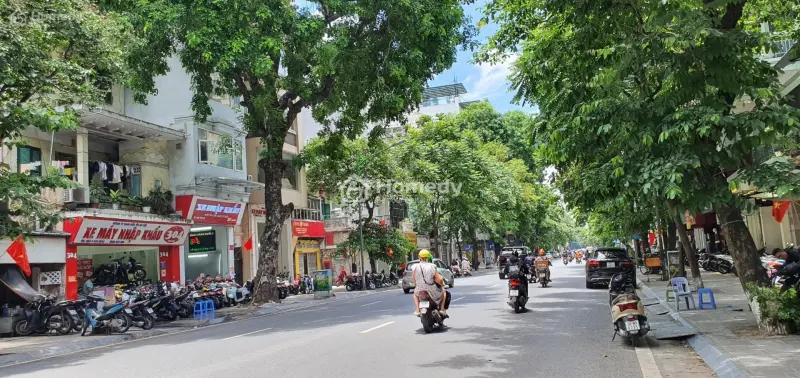 6007213 ảnh đại diện 1