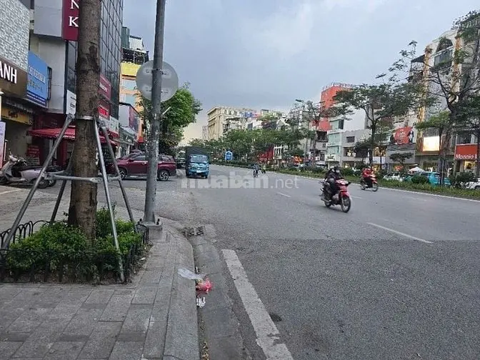 6007089 ảnh đại diện 1