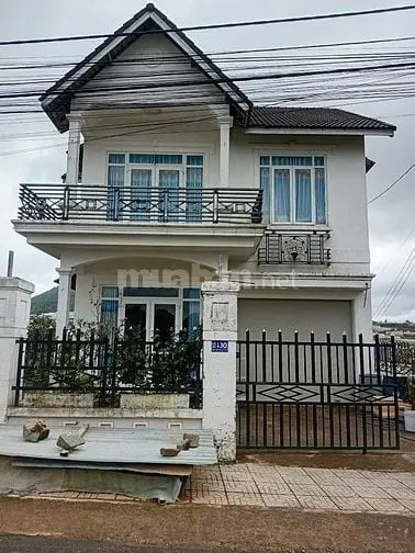 6007051 ảnh đại diện 1