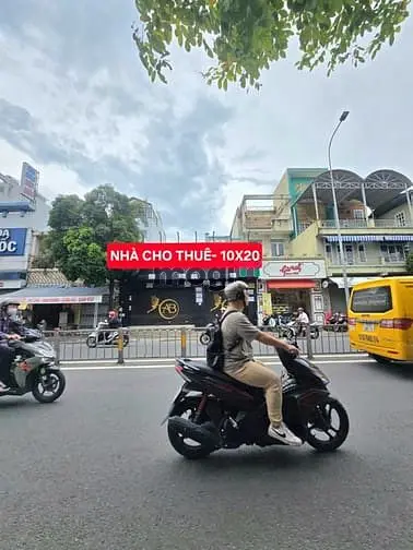 6007336 ảnh đại diện 1