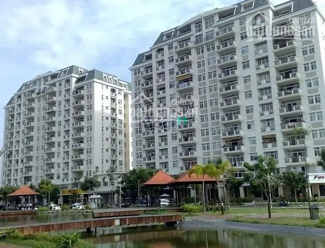 6006976 ảnh đại diện 1