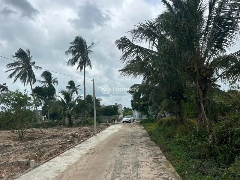 6006915 ảnh đại diện 1