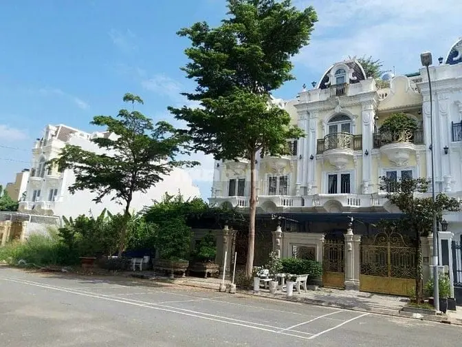 6006815 ảnh đại diện 1