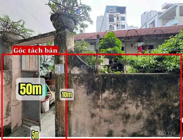 6006588 ảnh đại diện 1
