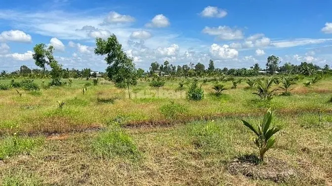 6006910 ảnh đại diện 1
