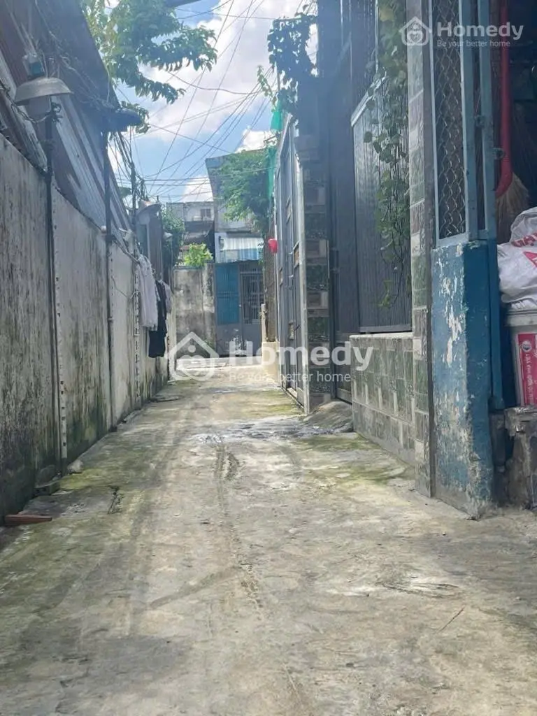 6006919 ảnh đại diện 1