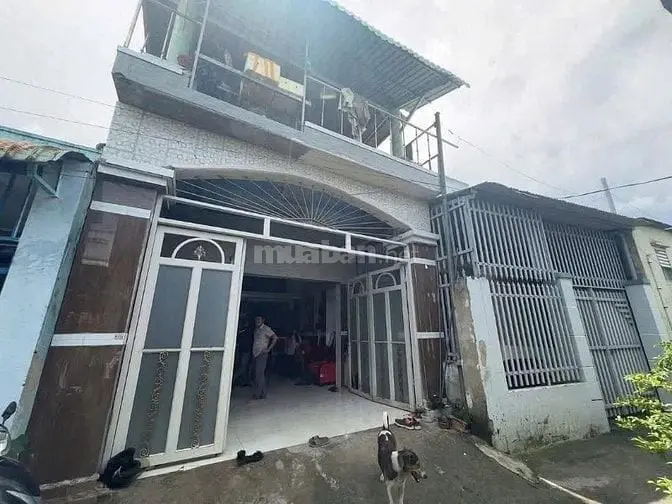 6007057 ảnh đại diện 1
