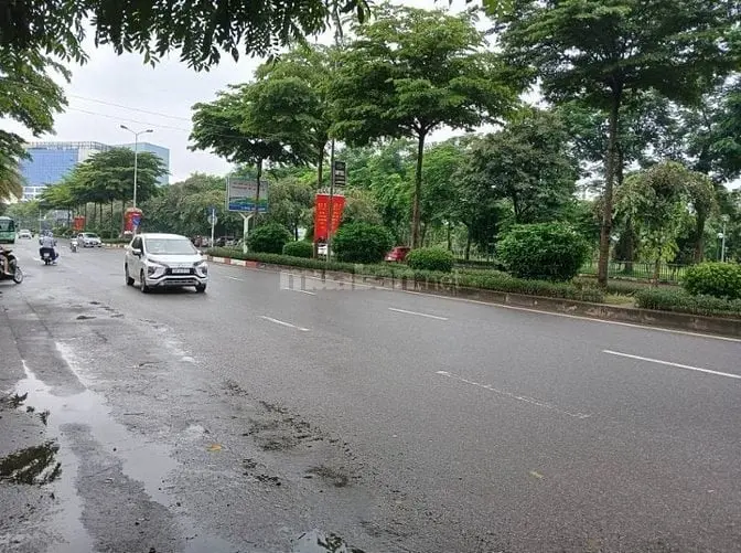 6007353 ảnh đại diện 1