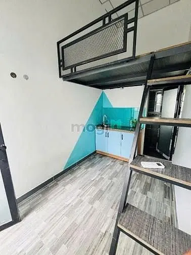 6006604 ảnh đại diện 1