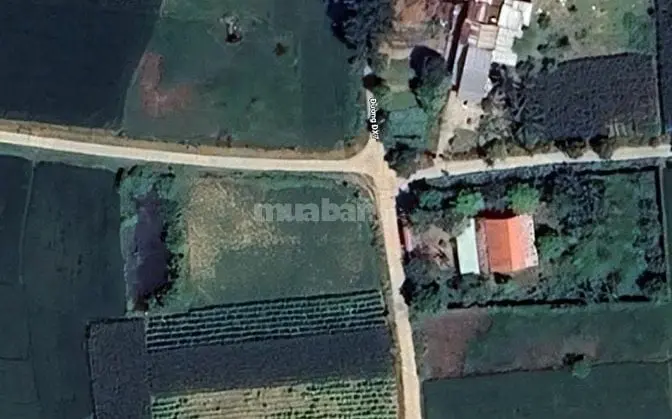 6007268 ảnh đại diện 1