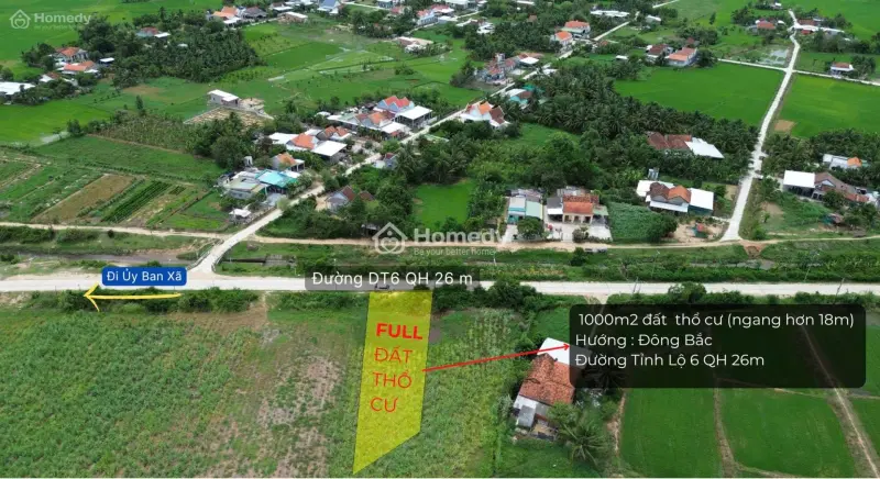 6006886 ảnh đại diện 1