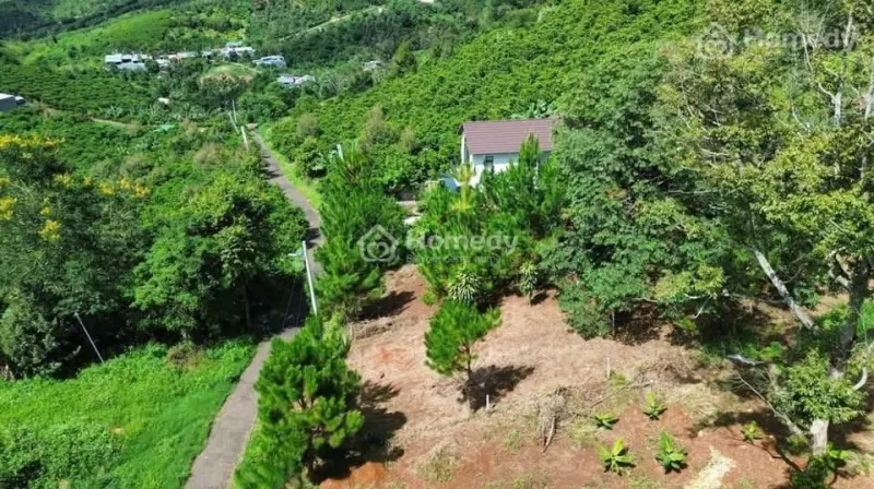 Chính Chủ Em Cần Bán Lô Đất Nghỉ Dưỡng Săn Mây Tại Lộc Thành, Đất Đẹp Giá Trị Cao
