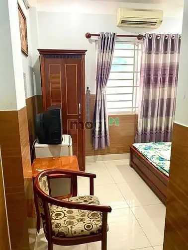 6007288 ảnh đại diện 1
