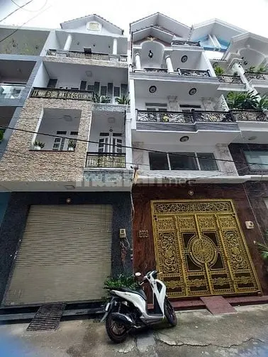 6007302 ảnh đại diện 1
