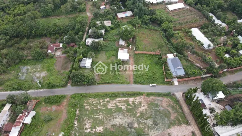 6006842 ảnh đại diện 1