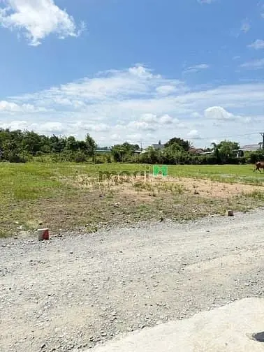 6006662 ảnh đại diện 1