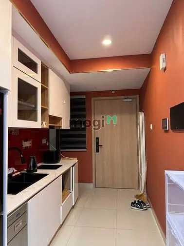 6007098 ảnh đại diện 1