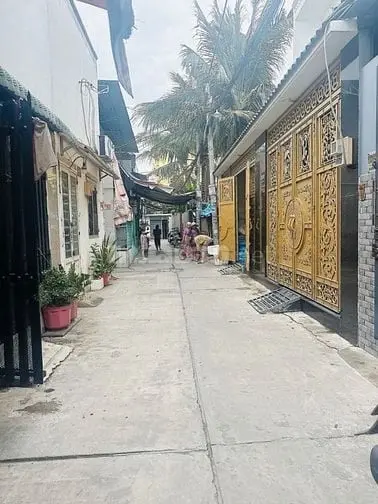 6007168 ảnh đại diện 1