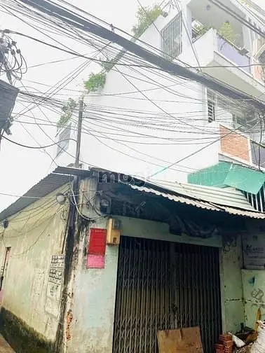 6006937 ảnh đại diện 1