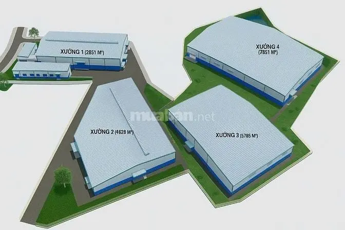 6007105 ảnh đại diện 1