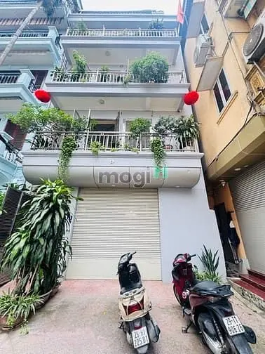 6006928 ảnh đại diện 1