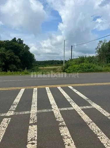 6007160 ảnh đại diện 1