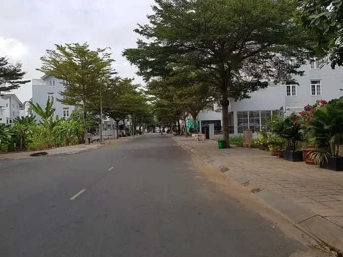 6007047 ảnh đại diện 1