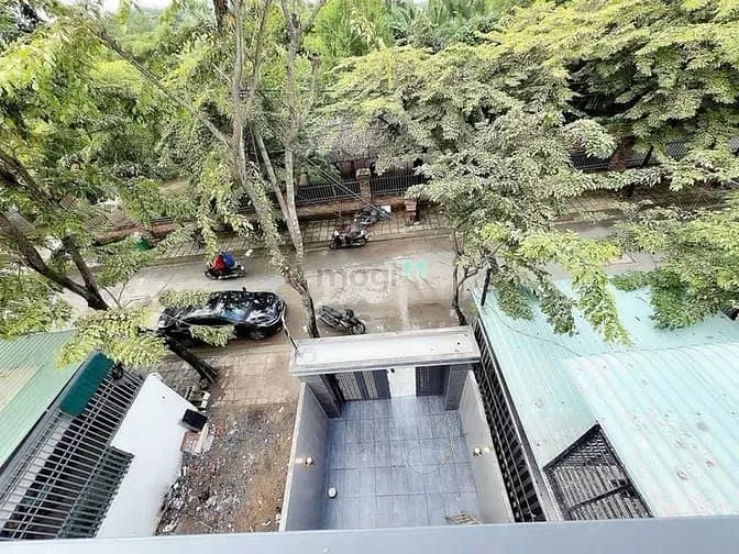6007024 ảnh đại diện 1