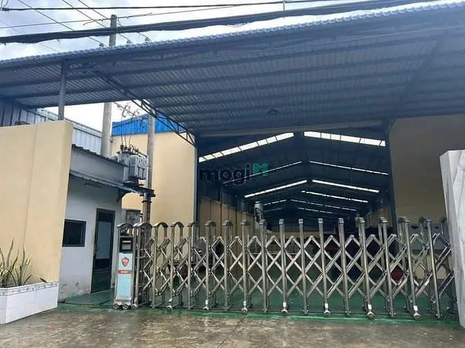 6006902 ảnh đại diện 1