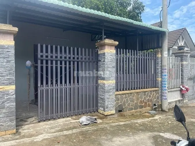 6007107 ảnh đại diện 1