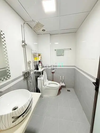 6007299 ảnh đại diện 1