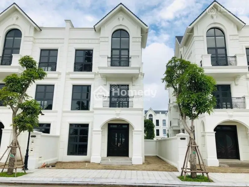 4416605 ảnh đại diện 1