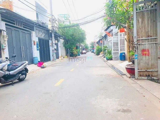 6007072 ảnh đại diện 1
