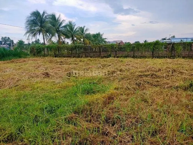 Bán Đất Kcn Tân Hương, 520Tr, 115M2, Pháp Lý Đầy Đủ.