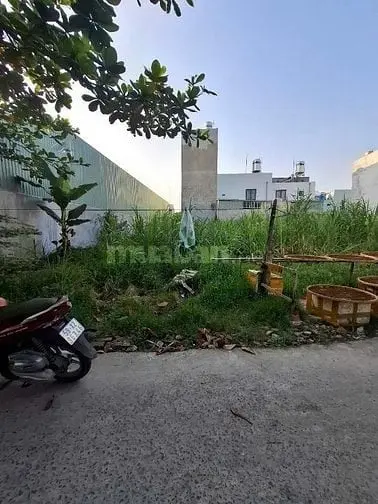 6007552 ảnh đại diện 1