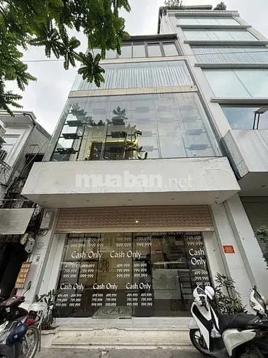 6007568 ảnh đại diện 1