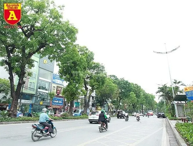 💥Bán Gấp Nhà Mặt Phố Kim Mã – 56M² – Cho Thuê 50Tr/Th – Giá Nhỉnh 20